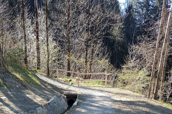 Die Waalwege sind wichtige Wandermöglichkeiten für Gäste und Einheimische; im Bild: Schenner Waal (Foto: LPA/Forstinspektorat Meran)