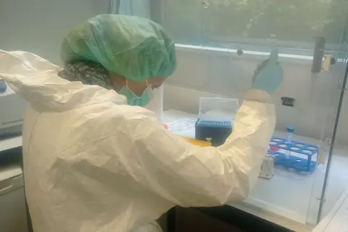 Am Institut für Mumienforschung der Eurac Research wird derzeit das Projekt MEDIEVAL_Calculus umgesetzt. Dieses wurde von der Europäischen Kommission mit dem Seal of Excellence ausgezeichnet und wird nun mit Geldmitteln des Landes in Südtirol realisiert. (Foto: LPA/Eurac Research)