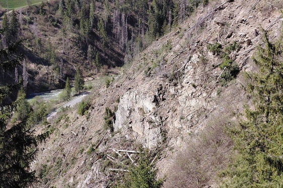 Große Waldflächen in sehr steilem und schwierigem Gelände in der Gadertaler Schlucht waren durch Borkenkäferbefall geschädigt und mussten deshalb entfernt werden. (Foto: LPA/Forstinspektorat Bruneck/Forststation St. Vigil in Enneberg)