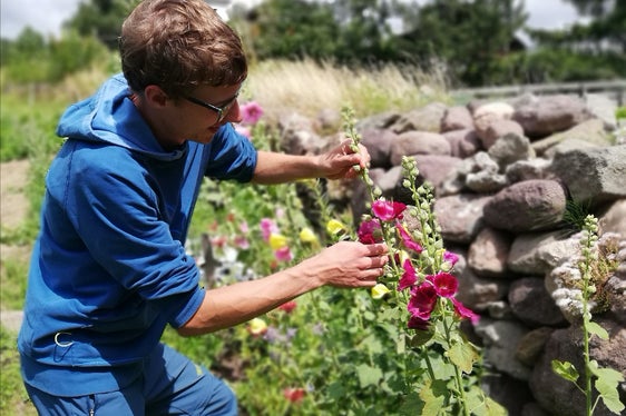 Workshop per coltivare le piante da orto al Museum Gherdeina (Foto: Ujep Runggaldier)