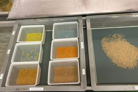 Eier im Bruthaus des Aquatischen Artenschutzzentrums. (Foto: LPA/Aquatisches Artenschutzzentrum)