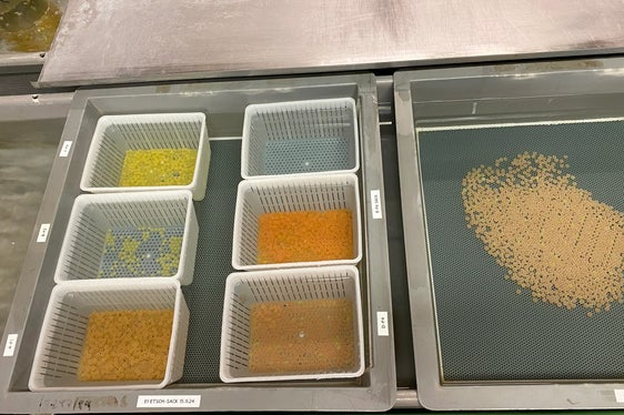 Eier im Bruthaus des Aquatischen Artenschutzzentrums. (Foto: LPA/Aquatisches Artenschutzzentrum)