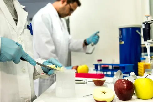 Das Forschungsprojekt AppleCare, das unter der Leitung des Versuchszentrums Laimburg durchgeführt wurde, zeigt, dass der gezielte Verzehr bestimmter Apfelsorten eine wirksame natürliche Therapie gegen die Birkenpollenallergie sein kann.(Foto: Versuchszentrum Laimburg/Ivo Corrà)