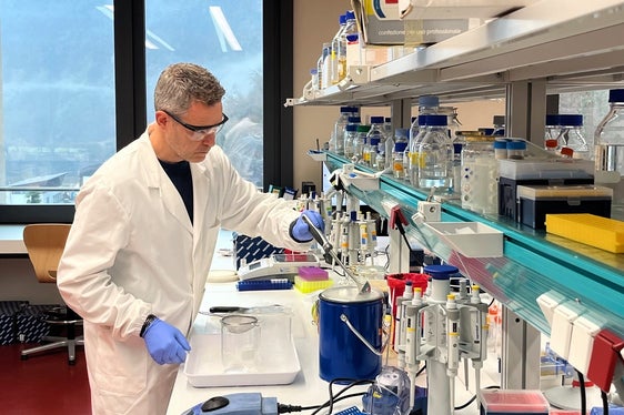 Lo sviluppo di un'immunoterapia contro l'allergia al polline di betulla è l'obiettivo del progetto Interreg AppleCare, presentato il 15 marzo 2018 presso il Centro di Sperimentazione Laimburg. (Foto: Centro di Sperimentazione Laimburg)