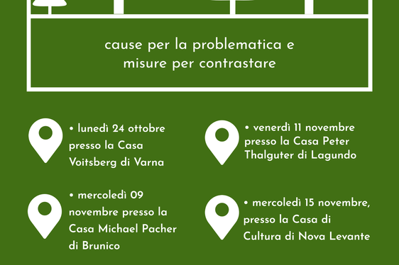 La locandina delle quattro serate informative dedicate al bostrico.