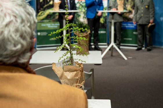 Presentata la campagna respiro del bosco - fla dl bosch: (da sinistra) l'assessore alle Foreste Luis Walcher, il direttore della Ripartizione foreste Günther Unterthiner, la guardia forestale Teresa Staffler e il responsabile della stazione forestale Giorgio Sivieri (Foto: USP/Fabio Brucculeri)