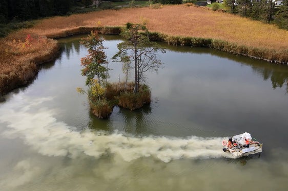 Nährstoffbindung an der Seeoberfläche für eine bessere Wasserqualität (Foto: Landesagentur für Umwelt- und Klimaschutz)