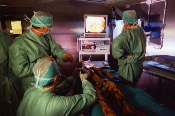 Da 30 anni al centro delle ricerche sull'Età della Pietra: la mummia del glaciale Ötzi (Foto: ASP)