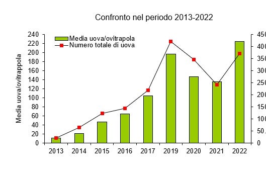Confronto del numero medio di uova di zanzara tigre nel periodo 2013-2022 (Fonte: Agenzia provinciale per l’ambiente e la tutela del clima, 2023)