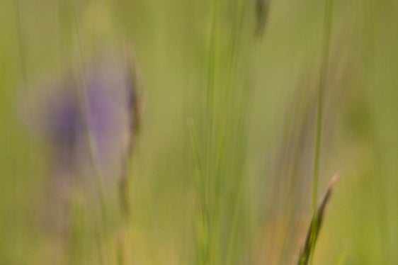 Wechselnde Sonderausstellungen sorgen dafür, dass die Naturparkhäuser auch bei Stammbesuchern attraktiv bleiben. Heuer im Programm: Winzig, riesig, immer wertvoll! Die Schutzgebiete Südtirols (Foto: LPA/Sepp Hackhofer)