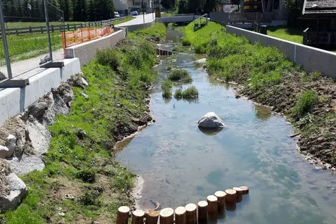 Protezione dalle inondazioni ed ecologia: la sistemazione della Piccola Drava ha contribuito a migliorare anche l'habitat dei pesci. (Foto: ASP/Ufficio sistemazione bacini montani Est)