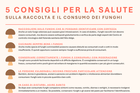 Consigli per la raccolta e degustazione di funghi. (Infografica: USP/Viktoria Huber)