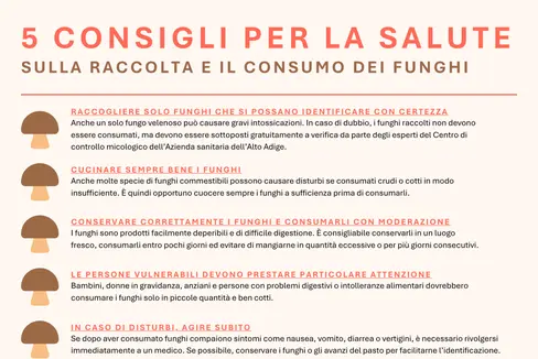 Consigli per la raccolta e degustazione di funghi. (Infografica: USP/Viktoria Huber)