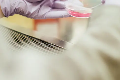 Wer in der Euregio innovative Produkte, Technologien oder Dienstleistungen im Bereich von Gesundheit und Biowissenschaft entwickelt hat, kann sich bis zum 31. Mai um den Innovationspreis bewerben. (Foto: Unsplash)