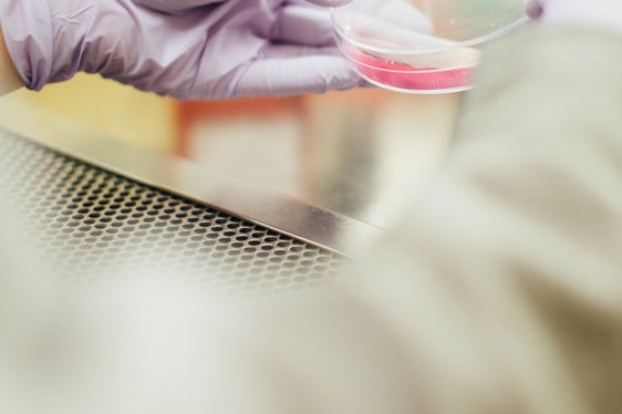 Wer in der Euregio innovative Produkte, Technologien oder Dienstleistungen im Bereich von Gesundheit und Biowissenschaft entwickelt hat, kann sich bis zum 31. Mai um den Innovationspreis bewerben. (Foto: Unsplash)