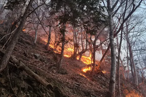 Si consiglia sempre di fare attenzione quando si accendono fuochi nei boschi o nelle loro vicinanze. Le recenti piogge hanno attenuato il rischio, ma gli alberi danneggiati dall'infestazione da bostrico favoriscono gli incendi. (Foto: ASP/Ripartizione foreste)