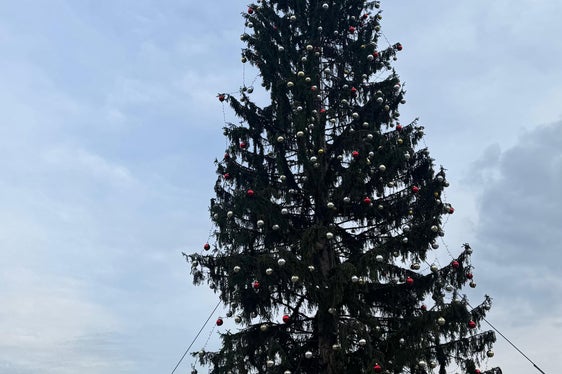 L'abete rosso, alto 27 metri, è stato abbattuto a Santa Valburga nel comune di Ultimo alla fine di novembre e trasportato a Roma. (Foto: USP/Katharina Fleischmann)