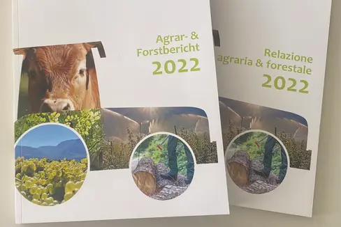 In più di 200 pagine, la Relazione agraria e forestale contiene informazioni che serviranno come base per le decisioni amministrative dell’anno che verrà (Foto: ASP)