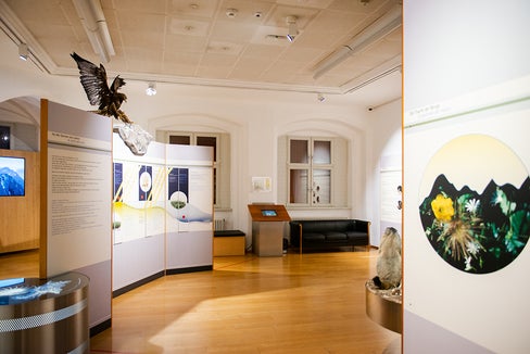 Mit der finanziellen Unterstützung des Betriebes Landesmuseen (im Bild das Naturmuseum Südtirol) werde sichergestellt, dass die museale Vermittlungs- und Forschungstätigkeit planungssicher und unabhängig durchgeführt werden könne, sagt Landesrat Philipp Achammer. (Foto: LPA/Claudia Corrent)