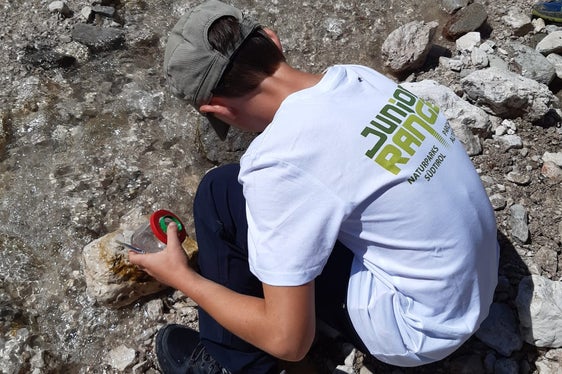 Auch genaues Hinschauen will geübt sein: Die Kinder lernten Wasserinsekten als Zeigertiere der Wasserqualität zu erkennen. (Foto: LPA/Landesamt für Natur)