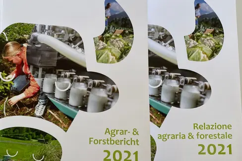 La Relazione agraria e forestale è un rapporto completo sull’agricoltura e sulla silvicoltura altoatesine e sullo sviluppo rurale del territorio (Foto: ASP/Noemi Prinoth)