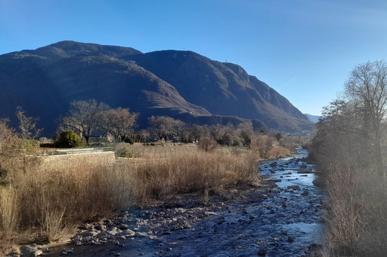 La vegetazione ripariale lungo il Talvera a Bolzano viene potata con regolarità; Vista lungo il fiume dal ponte di Sant'Antonio il 30 gennaio 2022 (Foto: ASP/Maja Clara)