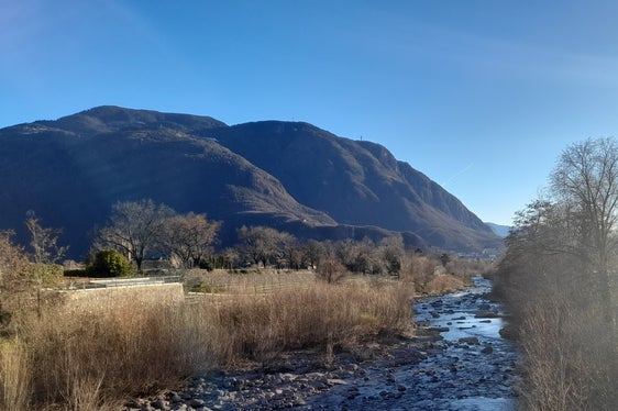 La vegetazione ripariale lungo il Talvera a Bolzano viene potata con regolarità; Vista lungo il fiume dal ponte di Sant'Antonio il 30 gennaio 2022 (Foto: ASP/Maja Clara)