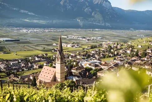 Die Landesregierung hat die Bauleitplanänderung der Gemeinde Tramin genehmigt: Damit kann der Wertstoffhof vom Ortszentrum in die Nähe des Gewerbegebiets verlegt werden. (Foto: IDM/Benjamin Pfitscher)