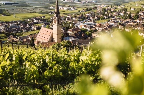 In futuro a Termeno sorgerà un nuovo centro di riciclaggio fuori dal centro abitato (Foto: IDM/Benjamin Pfitscher)