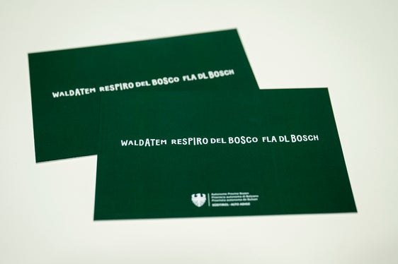 Neue Kampagne Waldatem - respiro del bosco - fla dl bosch startet am Internationalen Tag des Waldes (Foto: LPA/Fabio Brucculeri)