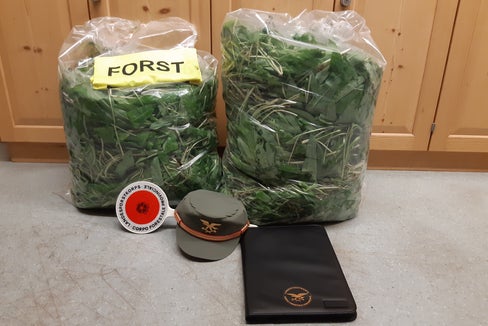 Una grande quantità di aglio orsino, raccolto in un biotopo designato, è stata sequestrata dalla Stazione forestale di Caldaro questa notte nel Comune di Appiano. (Foto: ASP/Stazione forestale di Caldaro)