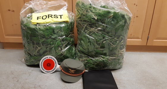 Ein große Menge an Bärlauch, der in einem ausgewiesenen Biotop gepflückt wurde, konnte die Forststation Kaltern heute Nacht im Gemeindegebiet von Eppan sicherstellen. (Foto: LPA/Forststation Kaltern)