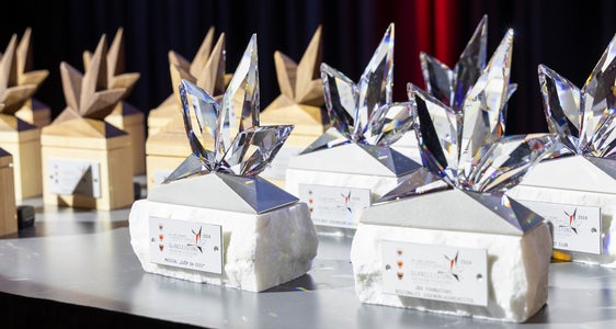 Auszeichnung Glanzleistungen - junges Ehrenamt: Bis 17. März sind in Südtirol Nominierungen möglich. (Foto: Land Tirol/Die Fotografen).