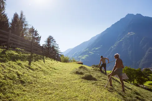 La proposta italiana per la Politica Agricola Europea deve contenere secondo Schuler maggiori tutele per l'agricoltura di montagna. (Foto: IDM)