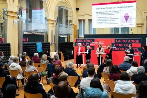Am Dienstag, 9. Dezember, wird im Innenhof des Landhauses 1 der Arbeitsmarktbericht Sommerhalbjahr 2025
vorgestellt. (Foto: LPA/Fabio Brucculeri)