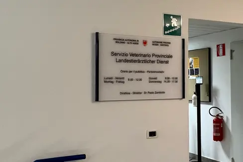 Jeder landwirtschaftliche Betrieb erhält in Kürze eine E-Mail vom Landestierärztlichen Dienst mit allen notwendigen Informationen sowie den Links mit den Anleitungen zur Verwaltung seiner Tiere in VetInfo. (Foto: LPA/Landestierärztlicher Dienst)