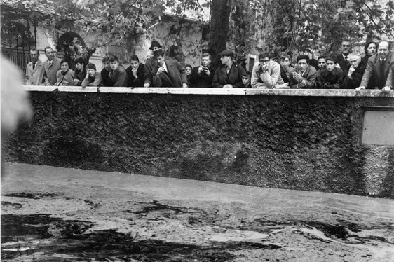 Das nun gestartete Arge Alp-Projekt zur Kommunikation von Hochwasserrisiken mit der Federführung des Trentino setzt sich zum Ziel, das Bewusstsein der Bevölkerung für Hochwasserrisiken zu stärken. Das Archivbild entstand während des Hochwassers an der Etsch am 4. November 1966. (Foto Pressamt Trient, Archiv Studio Rensi)