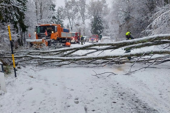 Verlegte Straßen durch umgestürzte Bäume, hängen gebliebene Fahrzeuge: Feuerwehren und Straßendienst, aber auch Weißes und Rotes Kreuz, die Sicherheitskräfte und Zivilschutzorganisationen sind ständig einsatzbereit. (Foto: Landesverband der Freiwilligen Feuerwehren Südtirols)