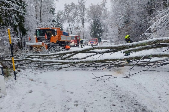 Forti disagi causati dal maltempo in Alto Adige. Nelle scorse ore si sono registrati notevoli disagi alla circolazione, con strade bloccate, anche a seguito di numerose cadute di alberi. Gli uomini della Protezione civile sono in costante allerta, pronte per intervenire nelle zone della provincia colpite dalle forti nevicate. (Foto: Vigili del fuoco volontari dell'Alto Adige)