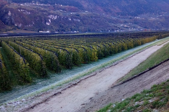 In einem Teilstück des Radweges wurden Vliesstoffe als Trennlage zwischen dem Tragschichtmaterial und dem natürlichen Boden eingebaut. (Foto: LPA/Amt für Wildbach- und Lawinenverbauung Süd)