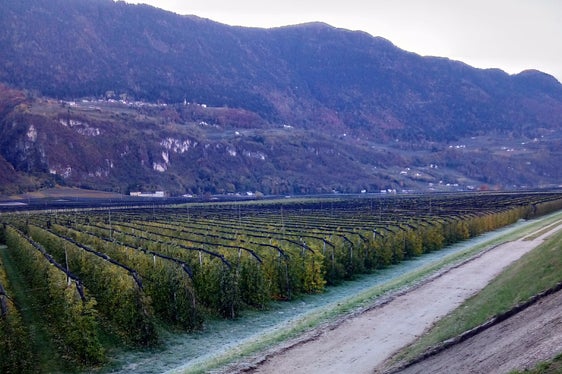 In un tratto della pista ciclabile sono stati installati dei non tessuti come strato di separazione tra il materiale di base e il terreno naturale (Foto: ASP/Ufficio sistemazione bacini montani Sud)