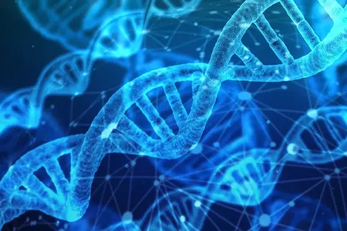 Gli eventi di SuBZero 2022 avranno come tema la “Diversità” e si terranno, sia in presenza che da remoto, nelle giornate del 27 e 28 aprile a Bolzano. Mercoledì 27 inaugurazione all'IISS Galilei (Foto: pixabay)