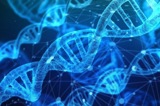 Gli eventi di SuBZero 2022 avranno come tema la “Diversità” e si terranno, sia in presenza che da remoto, nelle giornate del 27 e 28 aprile a Bolzano. Mercoledì 27 inaugurazione all'IISS Galilei (Foto: pixabay)