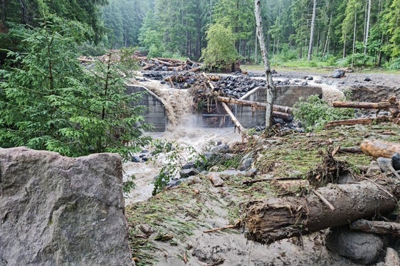 Deposito di materiale nel bacino di ritenzione del torrente Frötschbach all'ingresso del villaggio di Seis (Foto: Vigili del Fuoco Volontari)