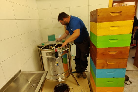 Honigschleudern: Das ist der Moment, wo sich die Arbeit vieler Monate bezahlt macht. Der Imker holt den Honig aus dem Bienenstock und füllt ihn ab. (Foto: Fachschule Laimburg/Klaus Blasbichler)