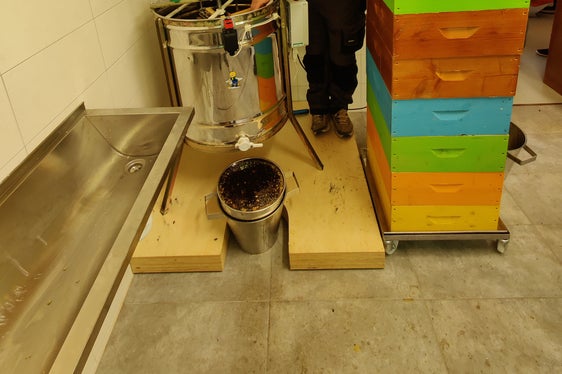 La Filatura del miele è il momento in cui il lavoro di molti mesi dà i suoi frutti. L'apicoltore prende il miele dall'alveare e lo imbottiglia. (Foto: Istituto tecnico Laimburg/Klaus Blasbichler)