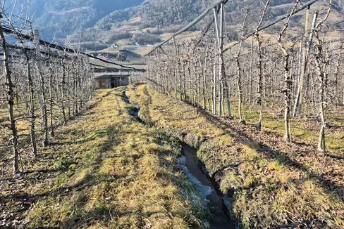 “Solo se le briglie e gli argini sono liberamente accessibili, i dipendenti della Protezione civile, i tecnici dei Bacini montani, i vigili del fuoco del Corpo permanente e i vigili del fuoco volontari possono intervenire rapidamente in caso di eventi di piena e garantire così la protezione della popolazione, delle infrastrutture e dei beni culturali”, sottolinea il direttore dell’Area funzionale Bacini Montani, Fabio De Polo. (Foto: USP/Ufficio Demanio idrico)