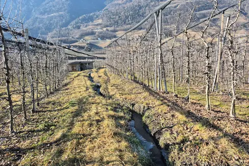 “Solo se le briglie e gli argini sono liberamente accessibili, i dipendenti della Protezione civile, i tecnici dei Bacini montani, i vigili del fuoco del Corpo permanente e i vigili del fuoco volontari possono intervenire rapidamente in caso di eventi di piena e garantire così la protezione della popolazione, delle infrastrutture e dei beni culturali”, sottolinea il direttore dell’Area funzionale Bacini Montani, Fabio De Polo. (Foto: USP/Ufficio Demanio idrico)