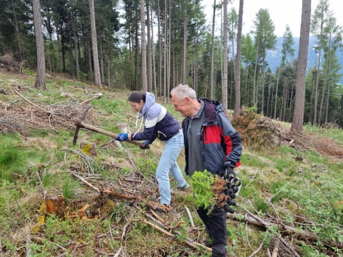Bäume für die Zukunft: Die Aktion ist am 8. Mai planmäßig verlaufen, alle Bäumchen konnten gepflanzt werden, die Grundeigentümer halfen tatkräftig mit. (Foto: LPA/Forststation Bruneck)
