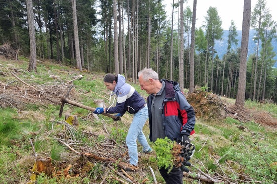 Alberi per il futuro: l'iniziativa si è svolta come previsto l'8 maggio e tutti gli alberelli sono stati piantati con l'aiuto dei proprietari dei terreni. (Foto: USP/Stazione forestale di Brunico)